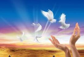 熱烈慶祝我公司網(wǎng)站正式上線(xiàn)！